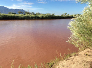 Rio Grande River in Santa Ana Pueblo, New Mexico. Photograph by Juliana Lightle julianalightle.com